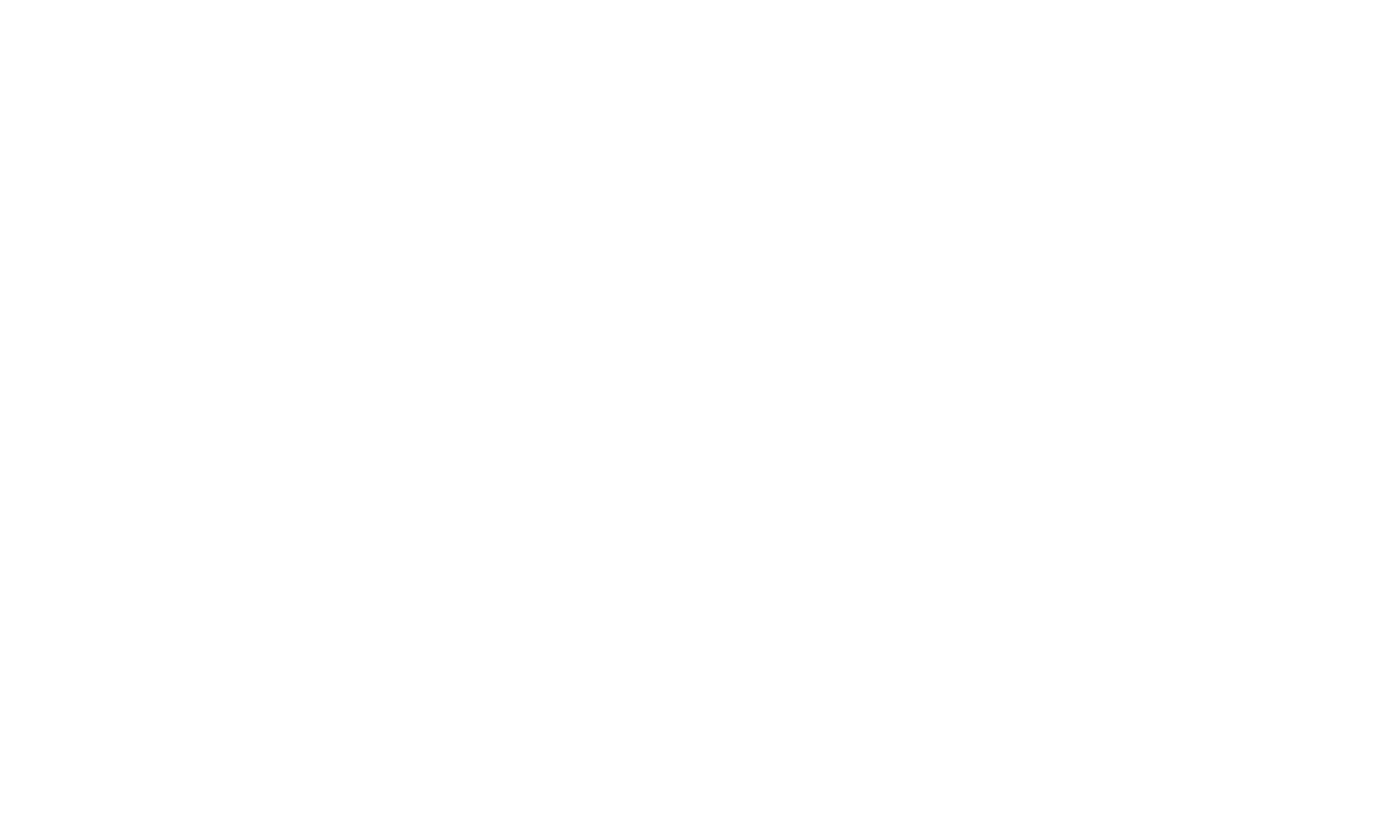 BC_Website_Visual_Schwarz-Logo_Neu