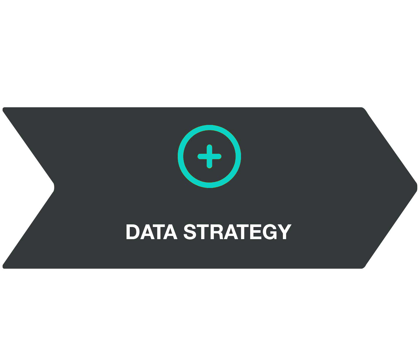 BAYARD_Consulting_Datastrategy