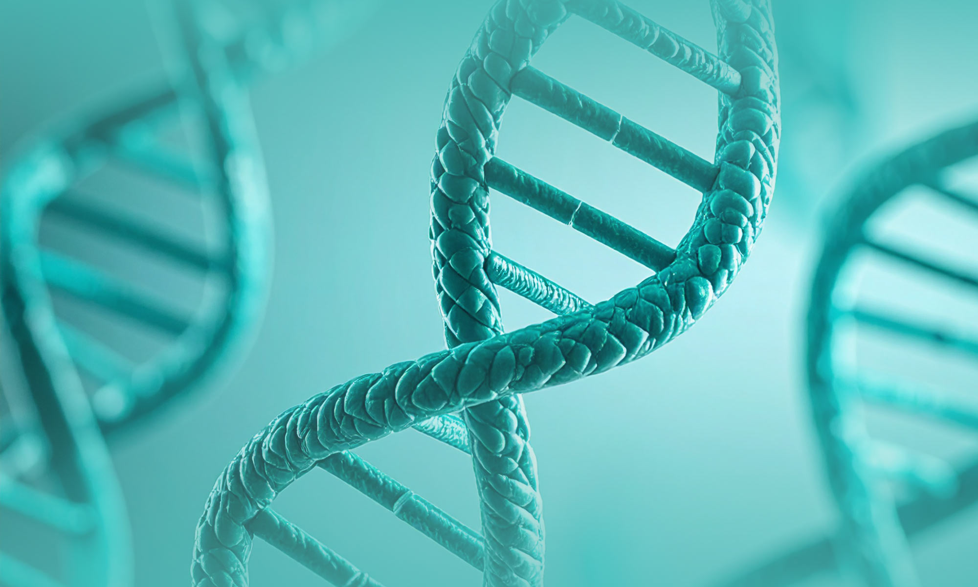 PIM Longevity In einer von Dynamik getriebenen Welt schrumpft auch der Lebenszyklus von Technologie.